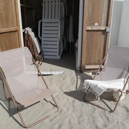 Frederik Op De Zeedijk Met Strandcabine - Vosproperties