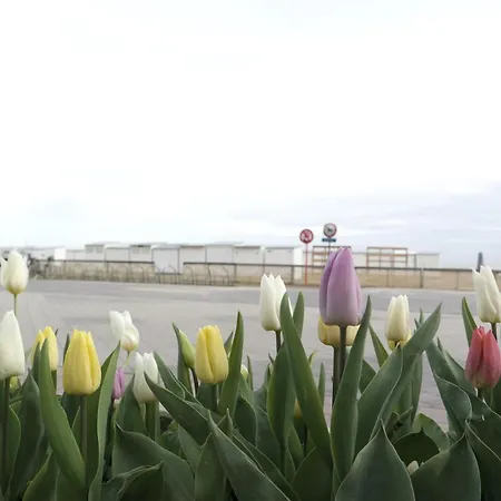 Apartment Frederik Op De Zeedijk Met Strandcabine - Vosproperties Knokke-Heist